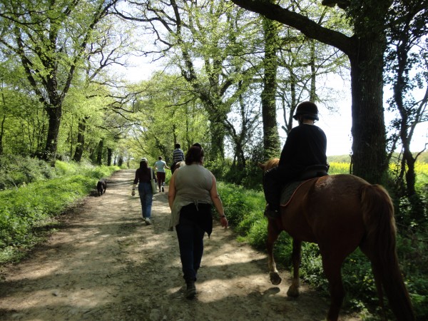 Poney pendant les vacances